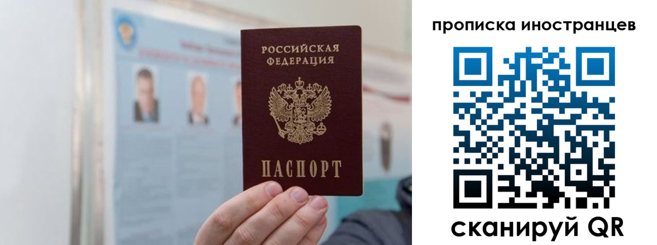 прописка паспорт в Новом Осколе